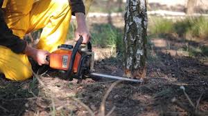 Best Aeration Services  in Shelbyville, KY