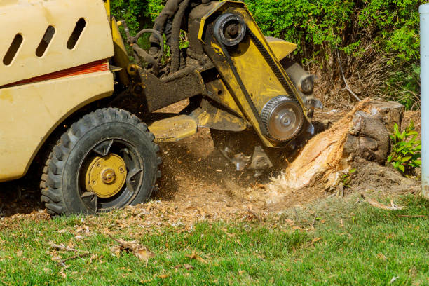 Best Lawn Irrigation Installation and Maintenance  in Shelbyville, KY