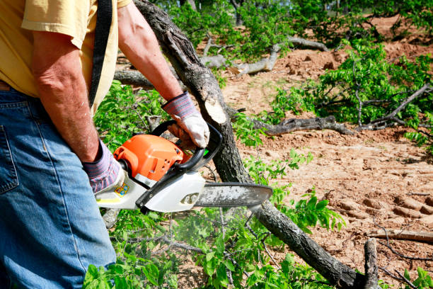 Best Soil Testing and Treatment  in Shelbyville, KY